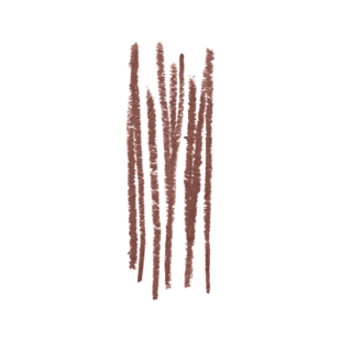 Crayon Contour pour les Lèvres FH14, Rum Raisin, 1g 